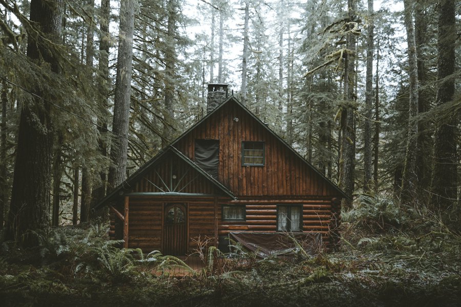 Cabana văzută din pădure